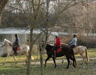 Rutas en la naturaleza